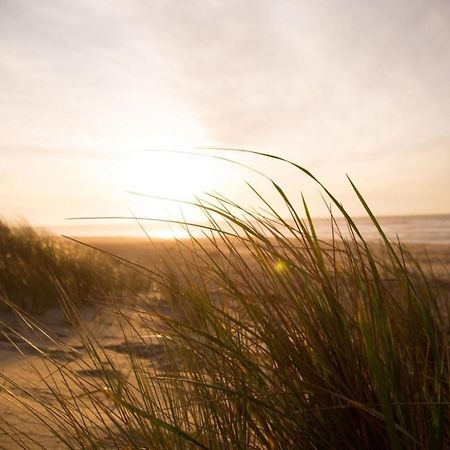 Grosse Nordseewelle Ohne Hund Norden Eksteriør bilde
